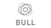 LP_Logo_grey_BULL