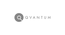 Logo_grey_qvantum-litt-større