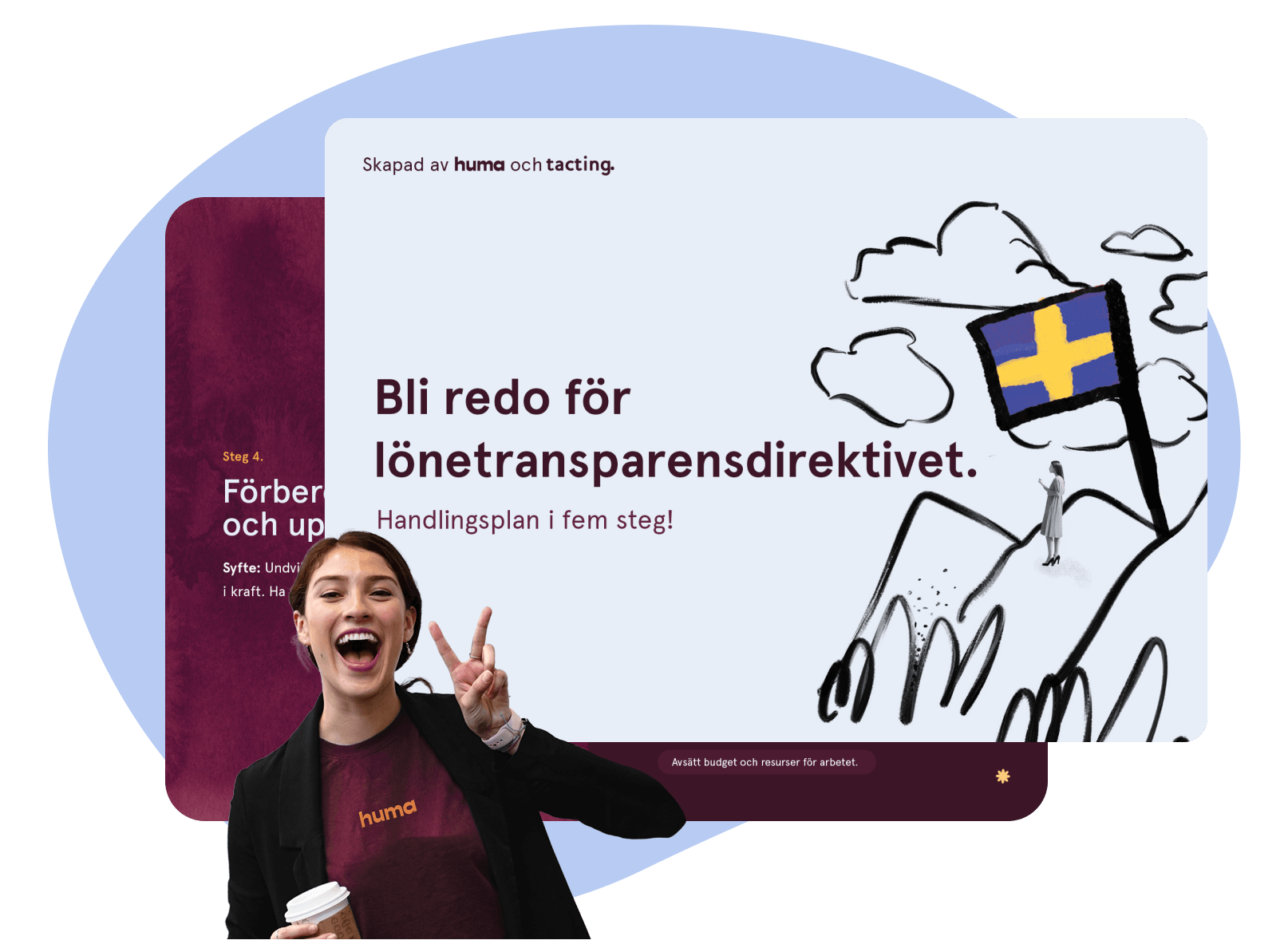 SE_LP-HERO_lonnstransparens-guide25_nov